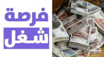 توفير 6500 وظيفة جديدة في مشروع الضبعة برواتب تصل إلى 45 ألف جنيه يفتح فرص عمل واسعة